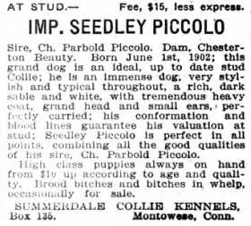Seedley Piccolo