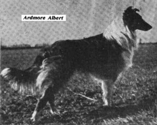 Ardmore Albert
