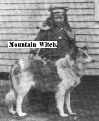 Mountain Witch (1906)