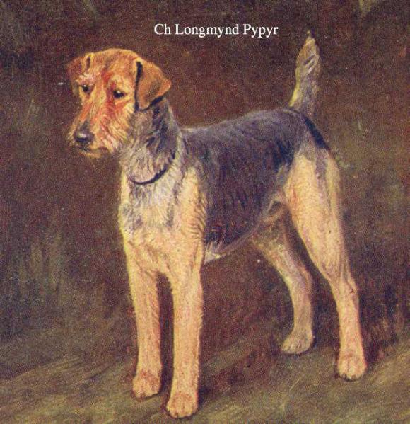Longmynd Pypyr