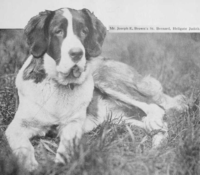 Hellgate Judith [Mr. Joseph E. Brown's]