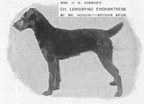 Longmynd Enchantress
