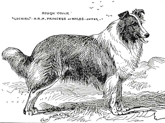 Lochiel [HRH Princess of Whales]