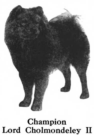 Lord Cholmondeley II