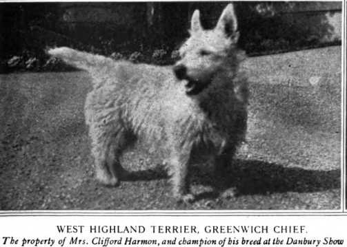 Greenwich Chief [Mrs. Clifford Harmon's]