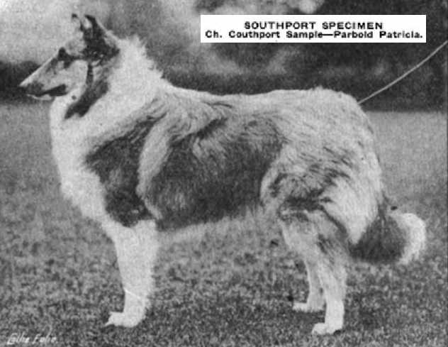 Southport Specimen 133020