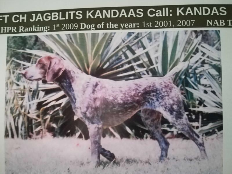 F.T JAGBLITS KANDAAS NA