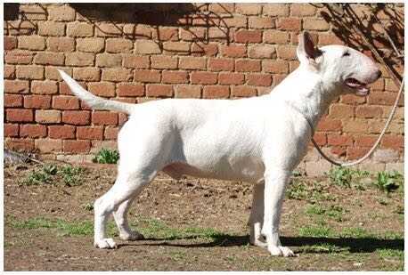 Mostahbull Tink Again