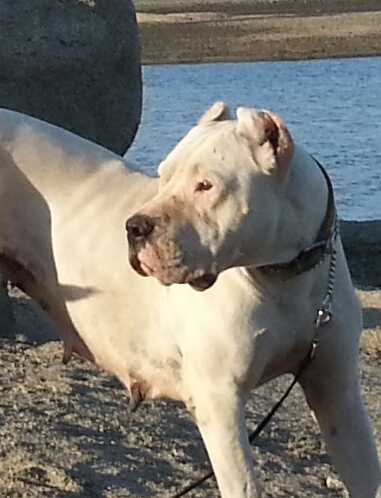 Kira De La Cocha