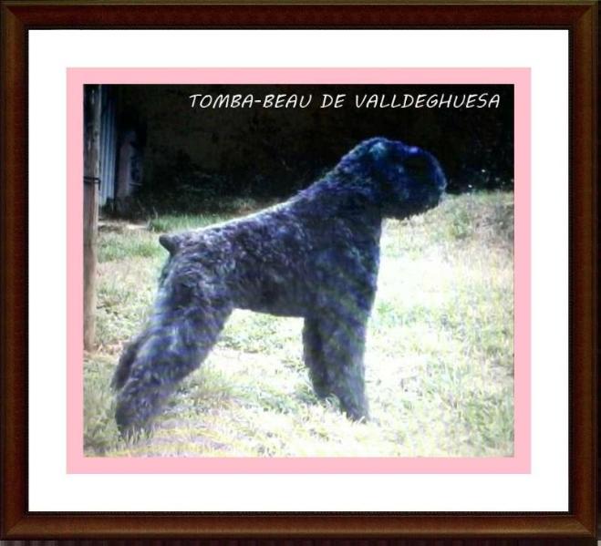 Tomba de Valldeghuesa