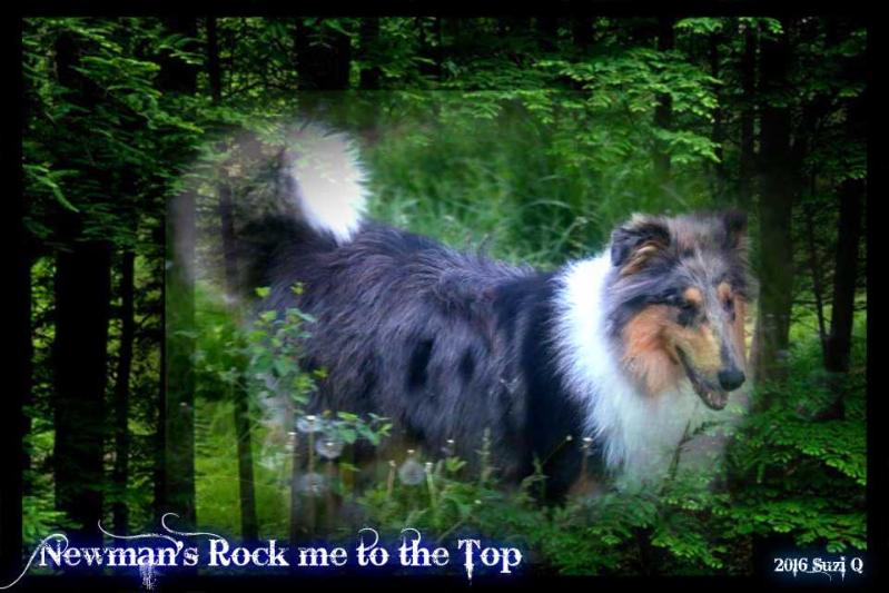 Newman's Rock Me To The Top
