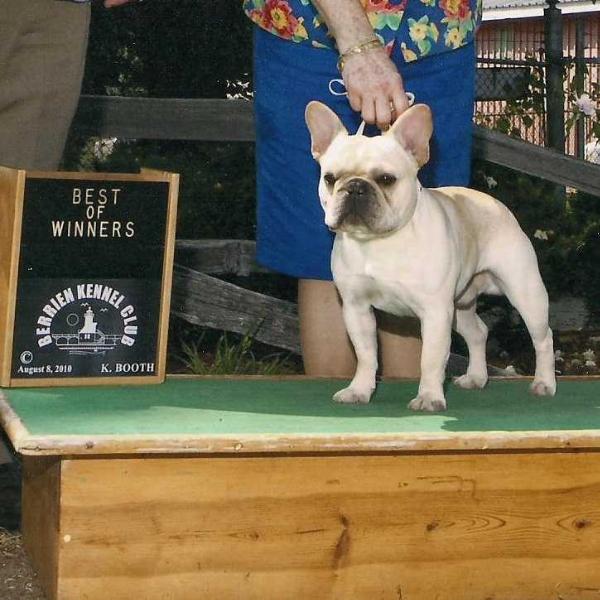 Mobulls Sam N Sawyer's Final Copy