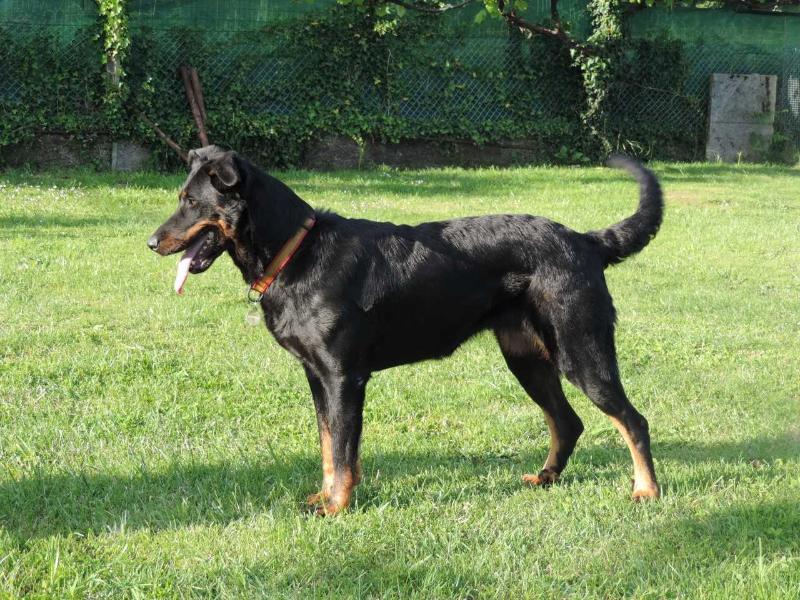 Imperator´s Legacy Best of You