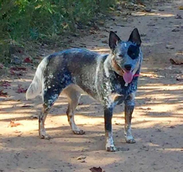 Blueyonder Annie Oakley @ Millcreek