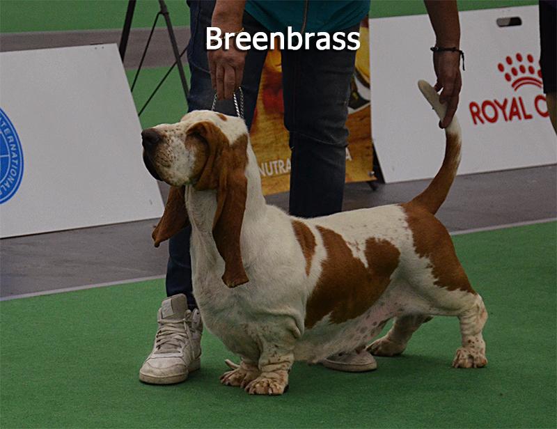 Khvala I Gordost' Iz Chernichnogo Raja