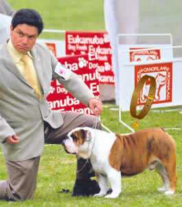 CHICHARO (GOMEZ)