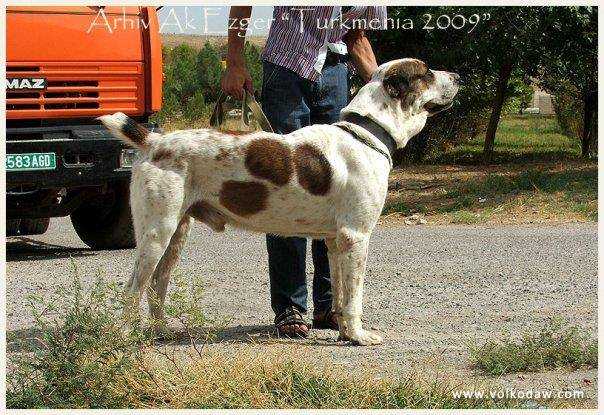 Arhiv Ak Ezger