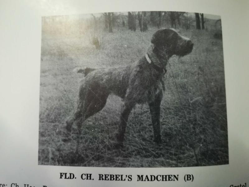 Rebel's Madchen