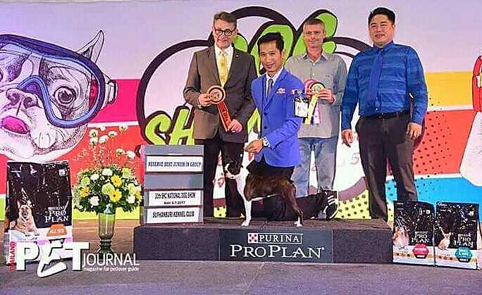 Southern kennels Dream come true