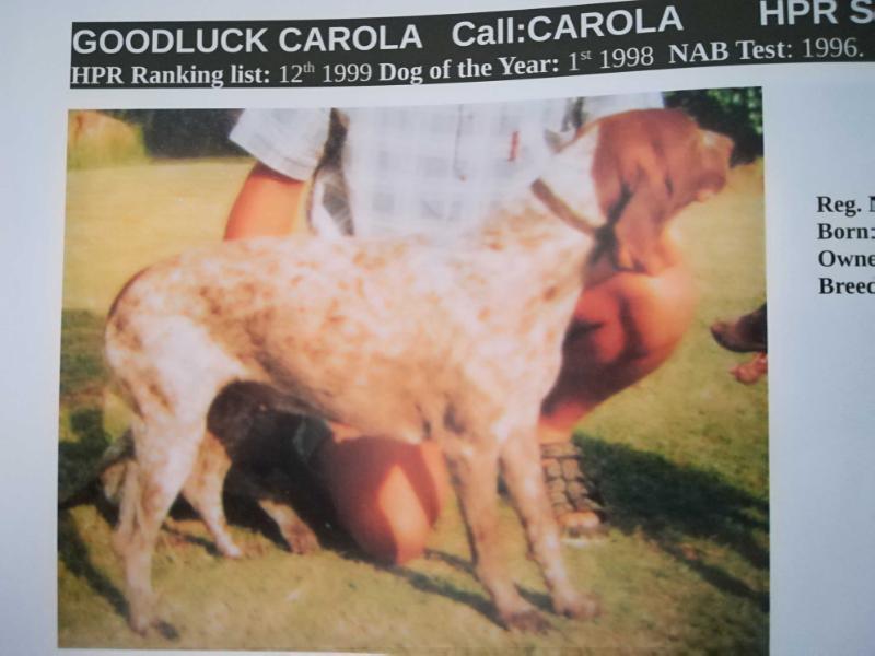 GOODLUCK CAROLA OF WINTERSHOEK