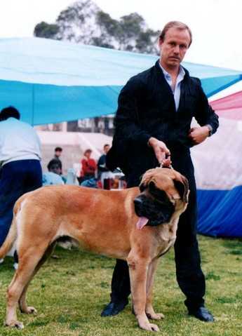 ARCINIEGA HUGE