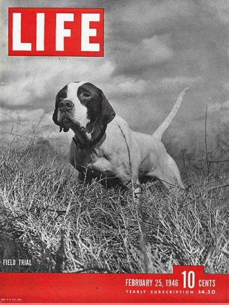 TARHEELIA'S LUCKYSTRIKE