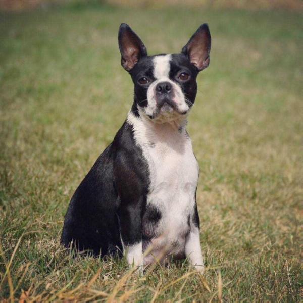 ZOE OF FREEDOM FARM