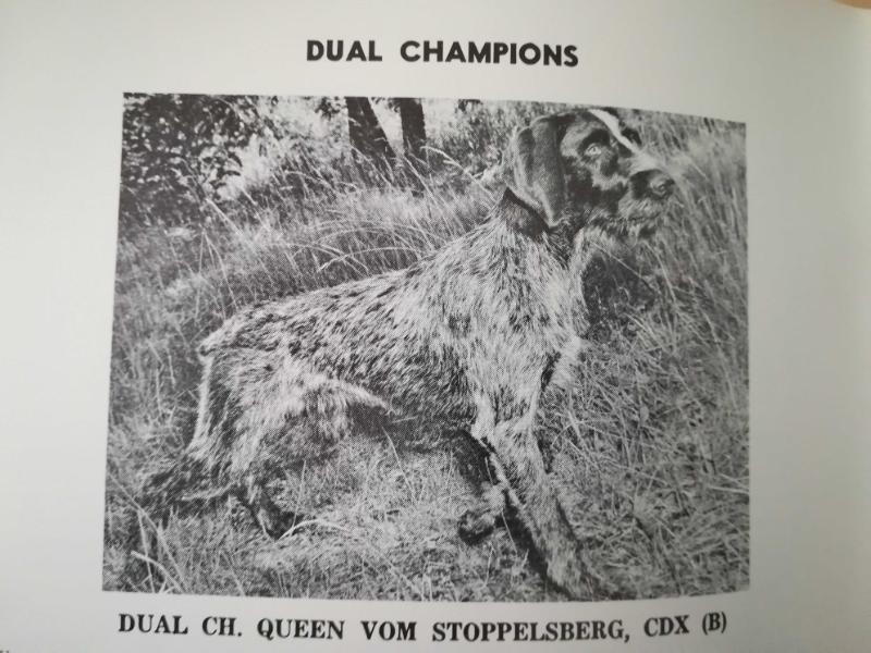 QUEEN VOM STOPPELSBERG