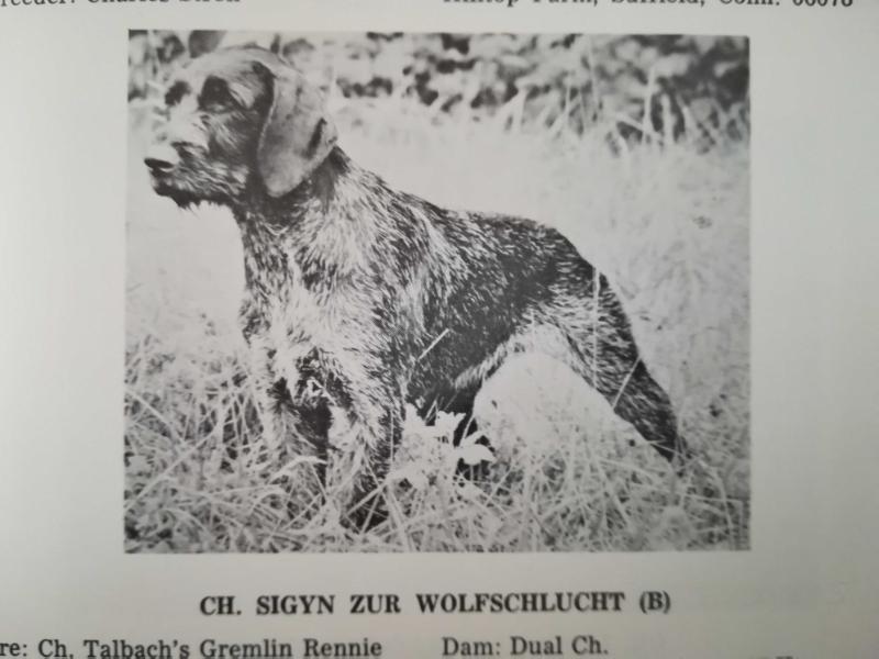 SIGYN ZUR WOLFSCHLUCHT