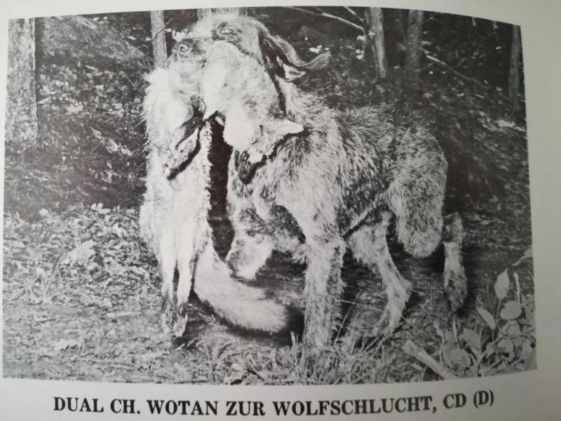 WOTAN ZUR WOLFSCHLUCHT  CD (D)
