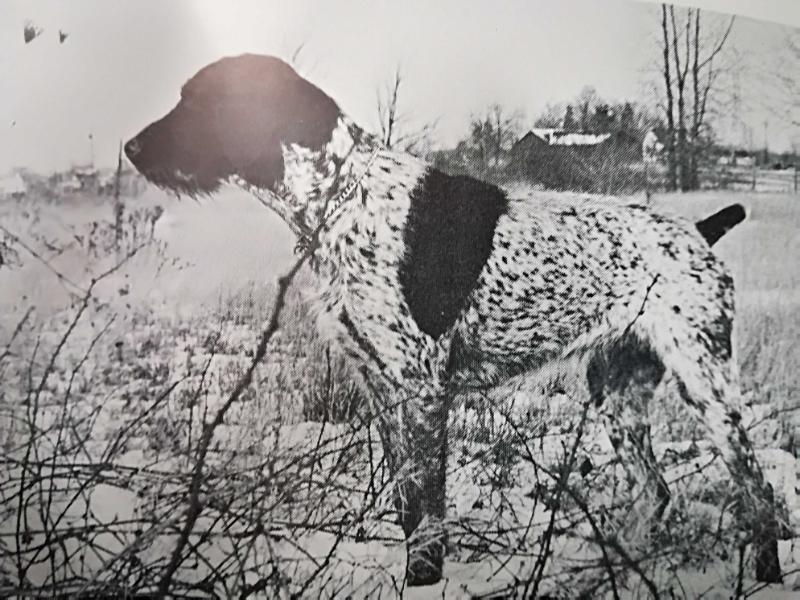 BLICK V. SCHNELLBERG