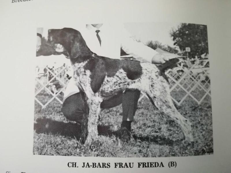 JA-BARS FRAU FRIEDA