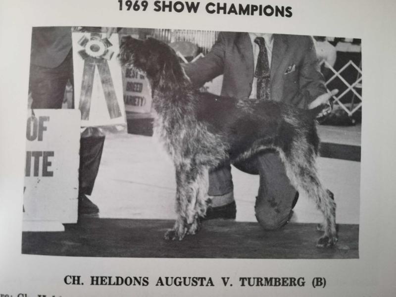 HELLDONS AUGUSTA VON TURMBERG