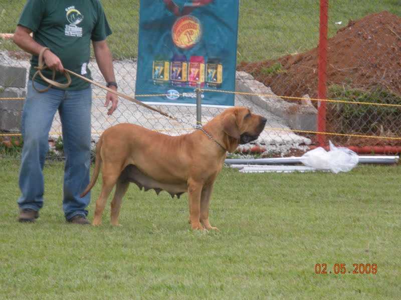 Garoa da Chacara Tres Irmaos
