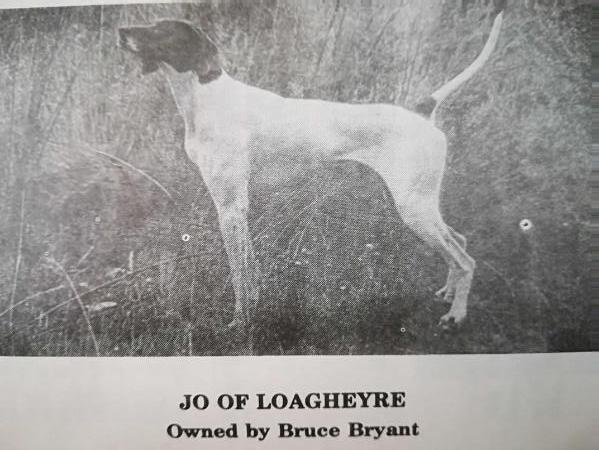 JO OF LOAGHEYRE