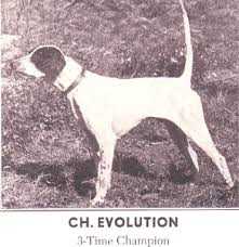 EVOLUTION