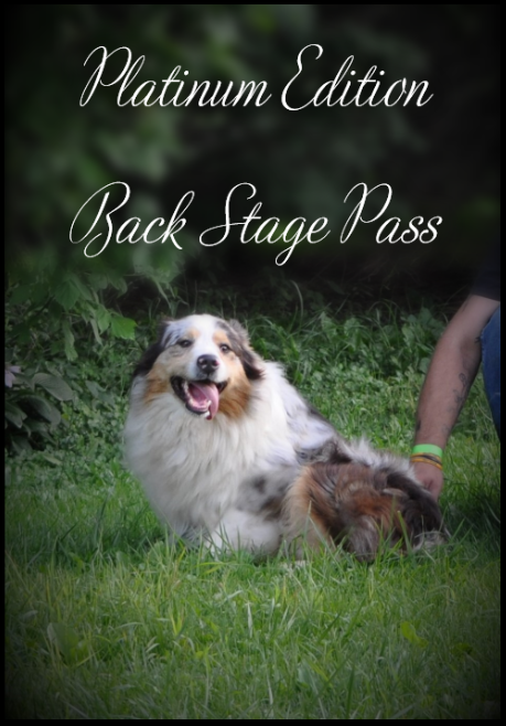 Platinum Edition Back Stage Pass