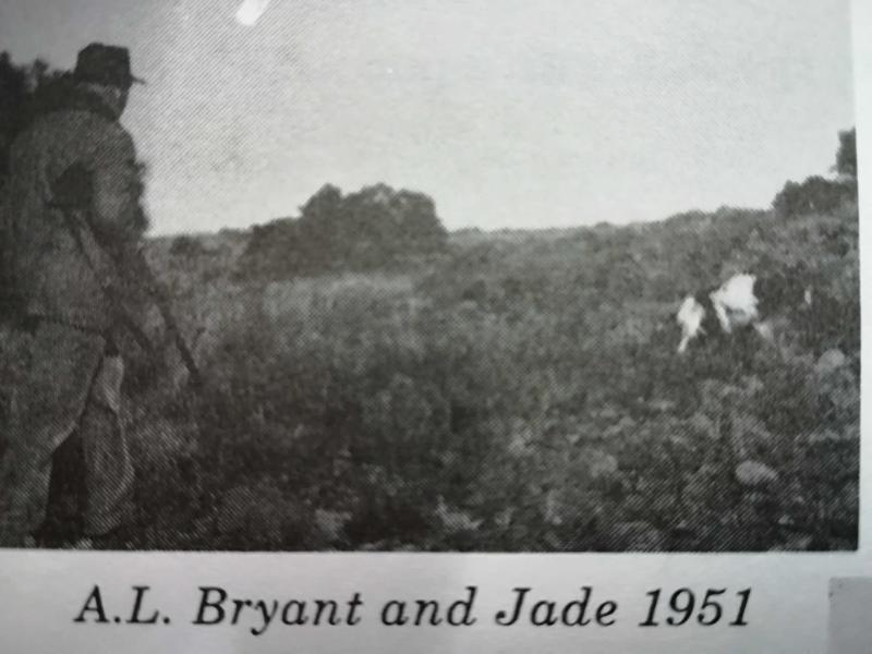 JADE OF BRYANSTON