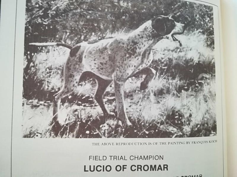 LUCIO OF CROMAR
