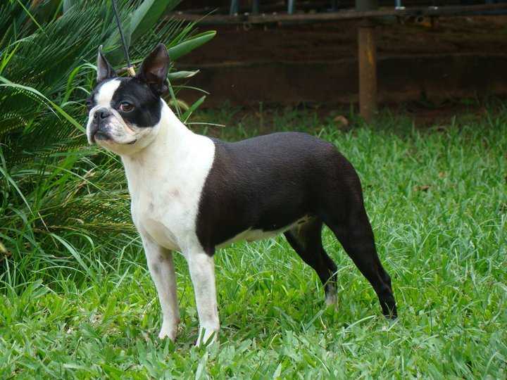 CARAMURU SADIE J PASSARELLI