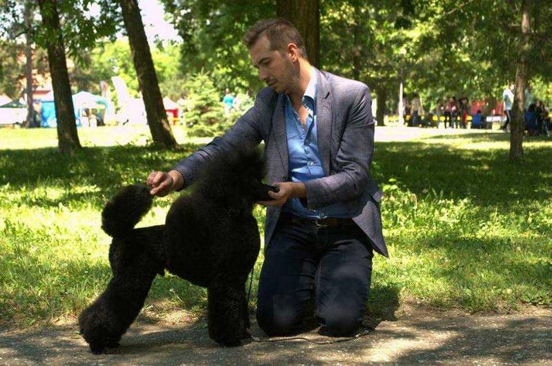 ORVEA`S BLACK CAVIAR
