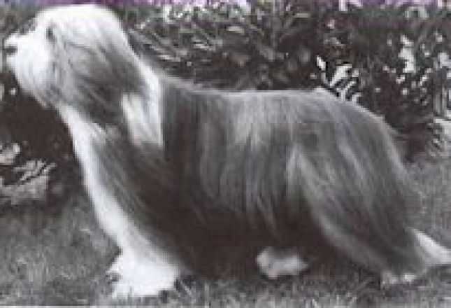 POTTERDALE DOUBLE DIAMOND