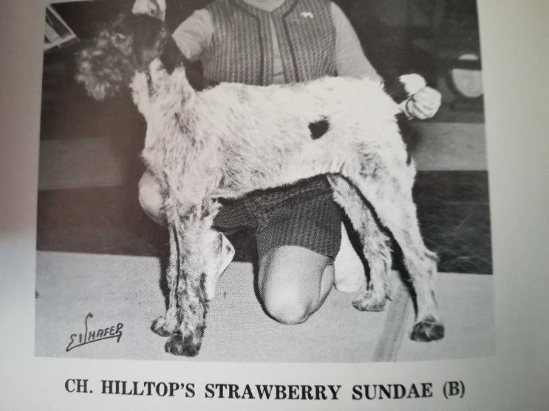 HILLTOP'S STRAWBERRY SUNDAE