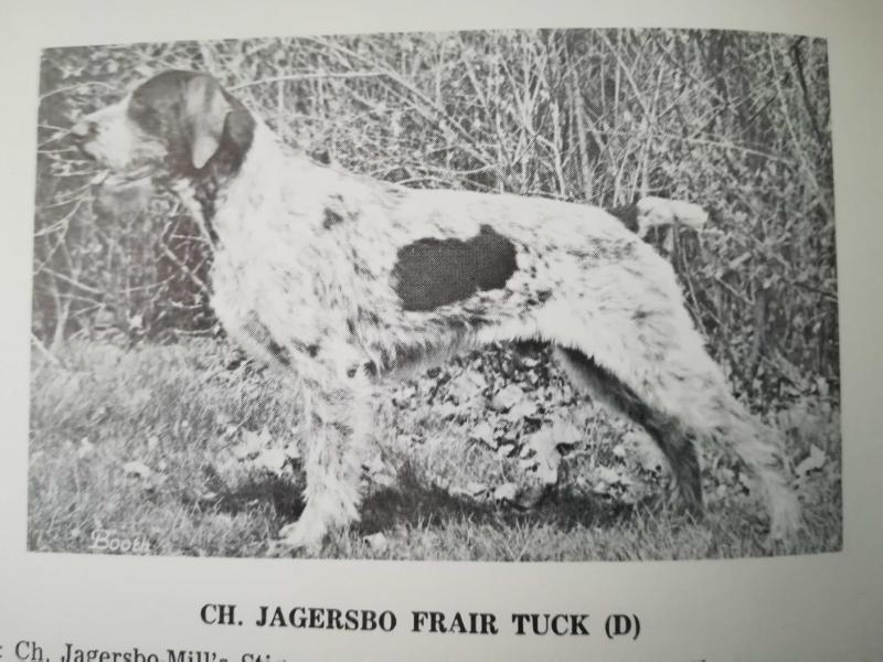 JAGERSBO FRIAR TUCK  (D)