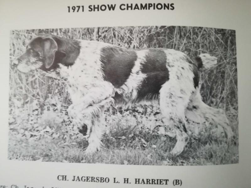 JAGERSBO L.H. HARRIET (B)