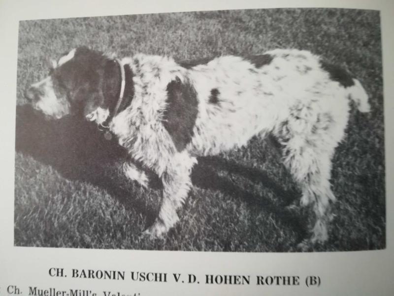 BARONIN USCHI V D HOHEN ROTHE