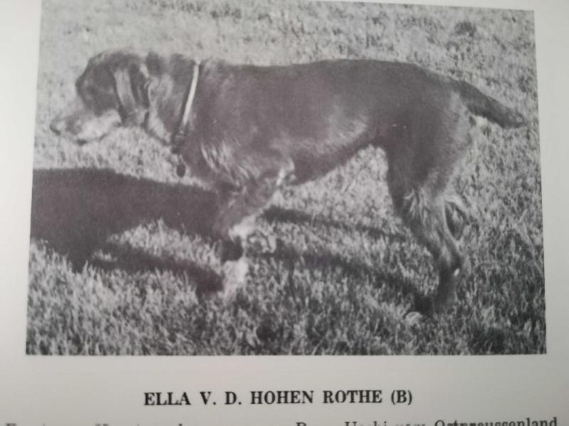 ELLA V D HOHEN ROTHE