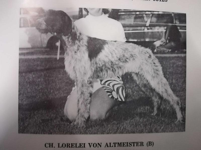 LORELEI V ALTMEISTER