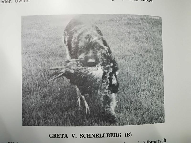 GRETA V SCHNELLBERG (B)