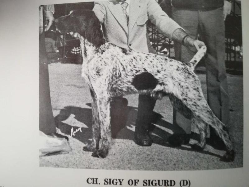 SIGY OF SIGURD